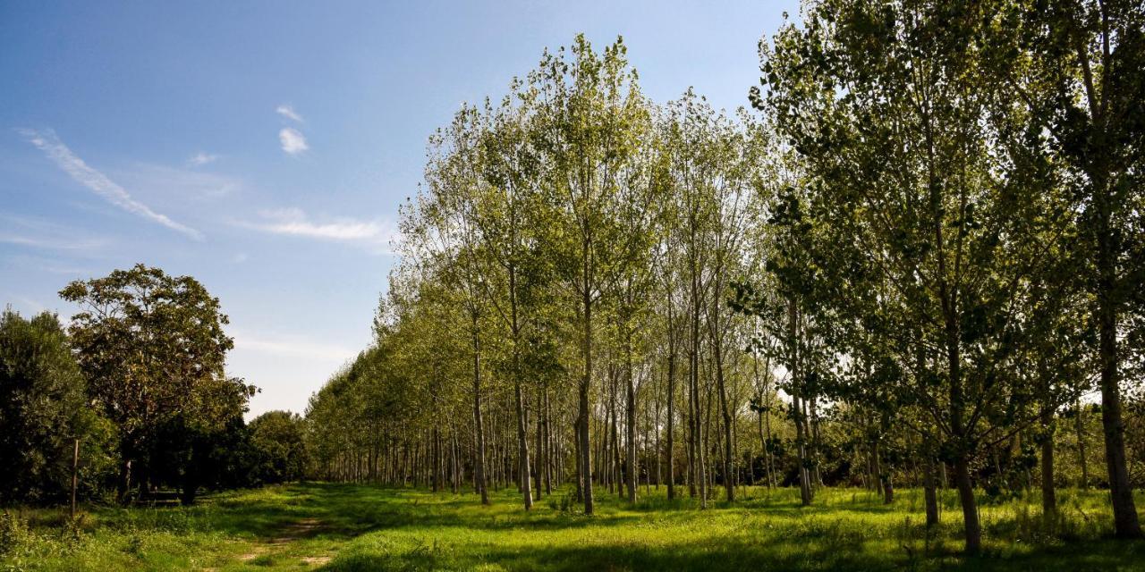 Masseria Giosole Capua Dış mekan fotoğraf